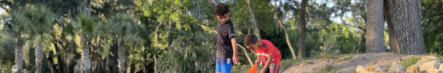 Banner Image